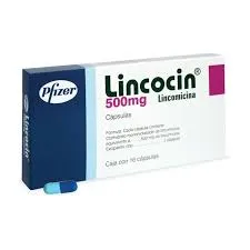 Thuốc LINCOCIN 500MG 16 VIÊN