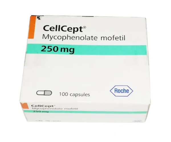 Thuốc Dự Phòng Thải Ghép Thận Cellcept 250mg