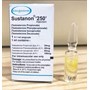 Thuốc điều trị thiểu năng sinh dục nam Sustanon 250mg/ml hộp 1 ống