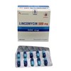 LINCOCIN 500MG PFIZER 16 VIÊN